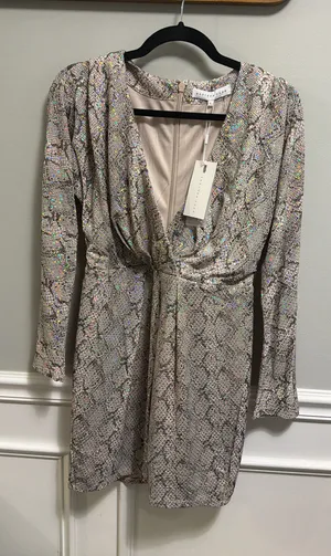 Endless Rose Dress Mini thumbnail 1