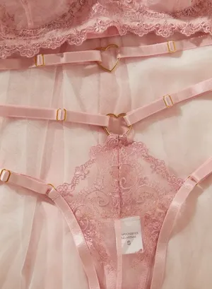 Elegant Lace Bra Set in Soft Pink thumbnail 4