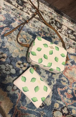 Coach Bag and Wristlet  thumbnail 1