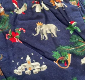 Vera Bradley NEW NWT Women’s Flannel Pajama Set Snow Globe Motif 🥰 Medium thumbnail 4