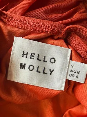 NWOT Hello Molly Rust Red Ruched Long Sleeve Mini Dress Small thumbnail 7
