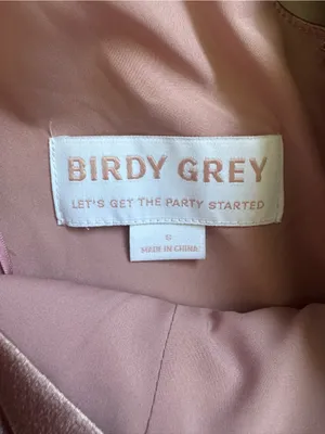 Birdy Grey Satin Light Pink V-Neck Maxi Dress Size Small thumbnail 7