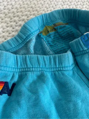 Aviator Nation Classic 5-Stripe Sweatpants – Teal / Rainbow (Size Medium) thumbnail 4