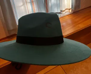 Charlie 1 Horse Hat thumbnail 1