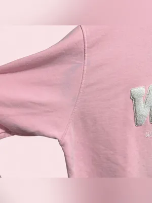 WLL Mockneck Sweatshirt Birthday Edition Pink L/XL Terry Interior thumbnail 4