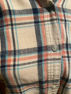 American Eagle Blue And Pink Flannel thumbnail 3