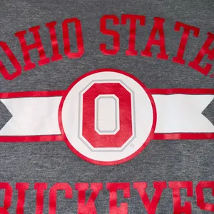 Ohio state tee 108 Gray Size L thumbnail 2