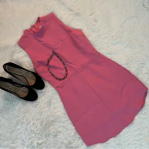 TCEC Sleeveless Pink Mini Dress Women’s Small – Lined, Hidden Back Zipper thumbnail 1