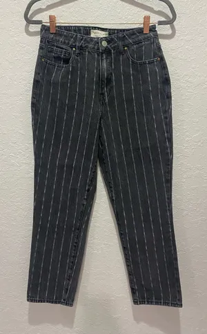 Pacsun Striped Straight Leg Mom Jeans Size 27 thumbnail 1
