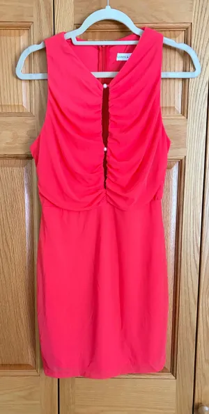 Saints + Secrets Red Mini Dress thumbnail 1