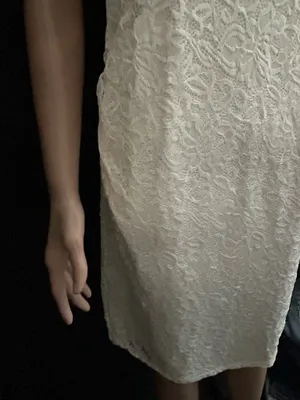 Pink Blush Women’s Lace Overlay Off-Shoulder Midi Dress in Ivory LG NWT thumbnail 6