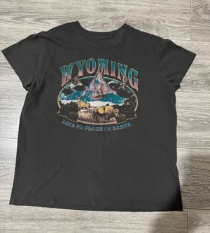 Mighty‎ Fine Wyoming Graphic T-Shirt Womens Medium Gray Souvenir Bison Mountain thumbnail 1