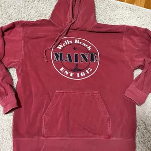 Comfort Colors Sweatshirt thumbnail 2