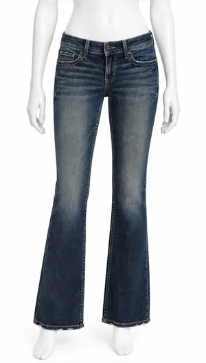 BKE Stella Slim Fit Low Rise Bootcut Jeans Size 27 Y2K Denim EUC thumbnail 1