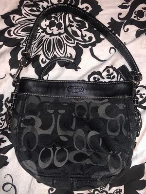 purse  thumbnail 1