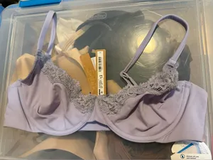 Skims FITS EVERYBODY LACE UNLINED DEMI BRA Jupiter 36B NWT $54 thumbnail 1