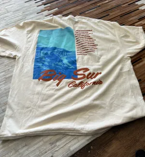 PacSun Graphic Tee thumbnail 1