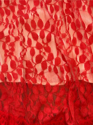 Free People Red Lace Fit & Flare Mini Dress 10 Boho Romantic Whimsigoth skater thumbnail 5