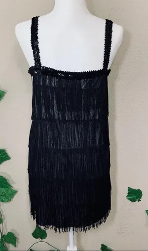 Flapper 1920’s Black Fringe Costume Halloween thumbnail 8