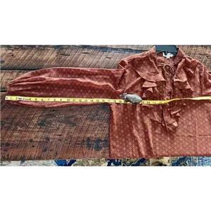 Molly Bracken western long sleeve sheer tie neck high neck ruffle blouse small thumbnail 13