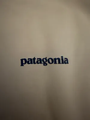 Patagonia Capilene Cool Daily Graphic Shirt Women’s thumbnail 2