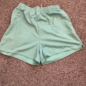 Sea foam green athletic shorts Size L thumbnail 3