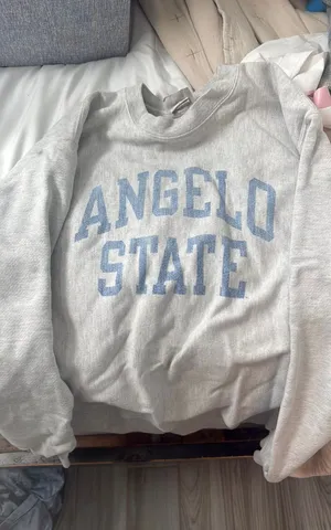 College Sweatshirt Champion thumbnail 1