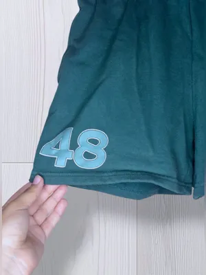 PACSUN x LAND ROVER Vintage Style Teal Graphic Sweat Shorts thumbnail 5