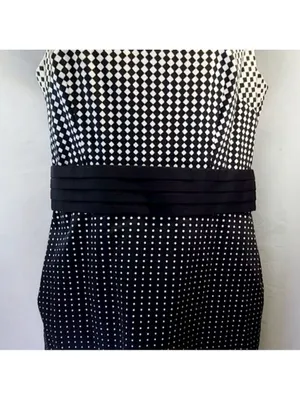 Ann Taylor Belted Midi Dress Size 0 thumbnail 6