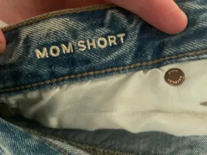 American Eagle Outfitters Mom Jean Shorts thumbnail 4