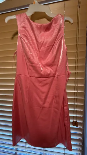 Dress Pink thumbnail 1