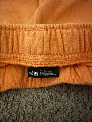 North Face Sweat Shorts thumbnail 3