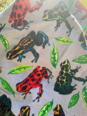 frog bandana thumbnail 4