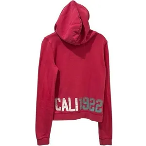 Y2K Hollister Spellout Pink Hooded Pullover Comfort Collegiate Coastal Size M thumbnail 5