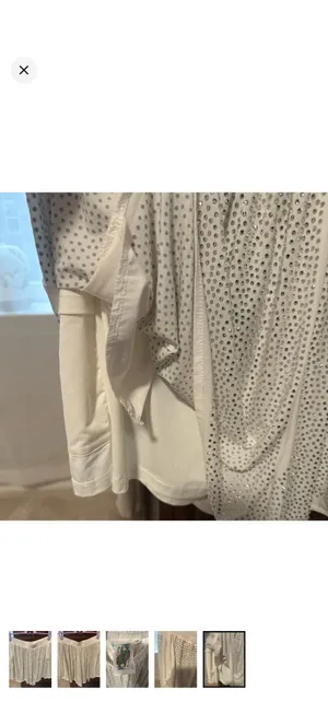 Queen of Sparkles Shorts (NWOT) thumbnail 6