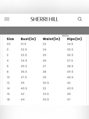 Sherri Hill Black Lace Corset Cocktail Dress thumbnail 5