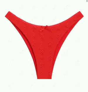 Janexswim Red Bikini Tankini Top & Bottom thumbnail 5