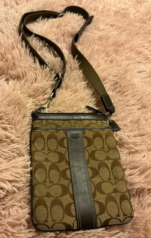 Coach Crossbody Bag  thumbnail 1
