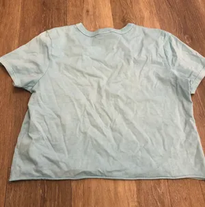 WDW Vintage Style Crop Tee thumbnail 3