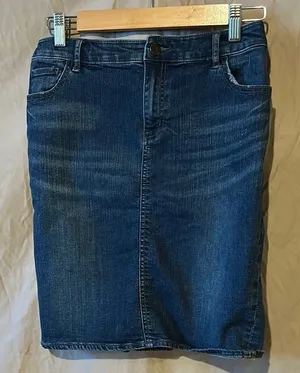 Pilcro Blue Knee-length Pencil Skirt for Casual Work thumbnail 1