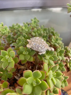 Vintage Silver Tone Turtle Brooch Featuring a Sparkling Rhinestone Shell thumbnail 2