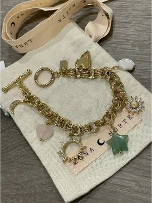 Luna Norte Gold Charm Bracelet thumbnail 1