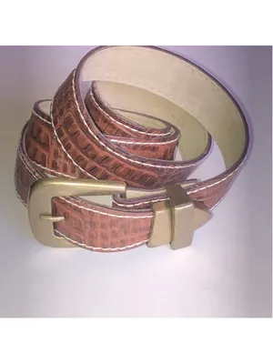 Brown Croc-Embossed Faux Leather Belt with Brass Buckle thumbnail 5