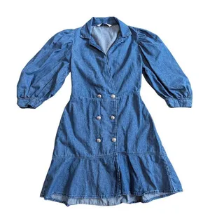 Zara double breasted denim dress Small thumbnail 1