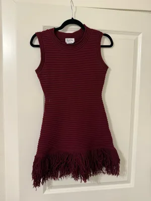 Sky to Moon Dress Red Fringe Mini Dress thumbnail 2