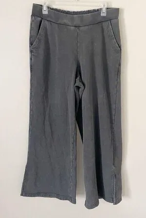 Anthropologie Daily Practice Size M Gray Wide Leg Sweat Pants Lounge Cozy Pockets thumbnail 1