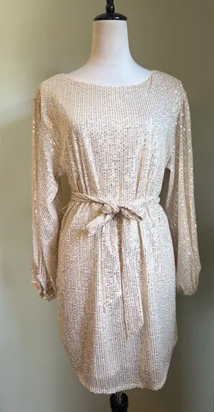 Vine & Love Sparkling Gold Sequin Long Sleeve Belted‎ Mini Dress Party Glam Y2K boho fairy thumbnail 1