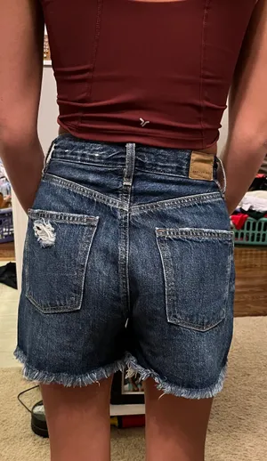 American Eagle Outfitters Boyfriend Shorts thumbnail 2