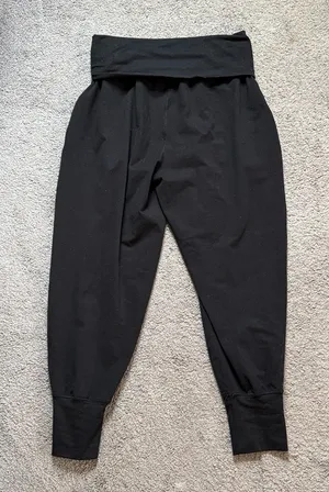Aerie Offline Joggers  thumbnail 3