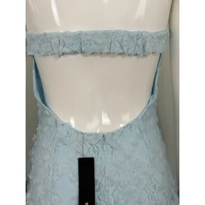 Lulus Light Blue Lace Mini Dress Strapless Backless 3D Floral Coquette NWT M thumbnail 9